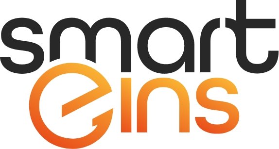 smarteins Logo
